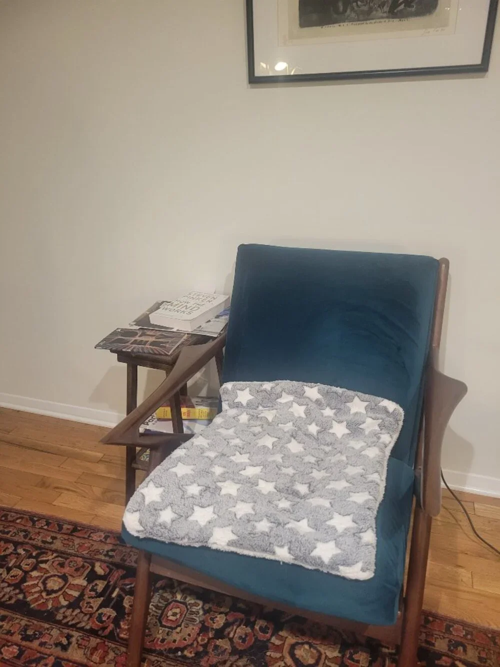 Three super soft furniture proctors/beds for small/medium pets